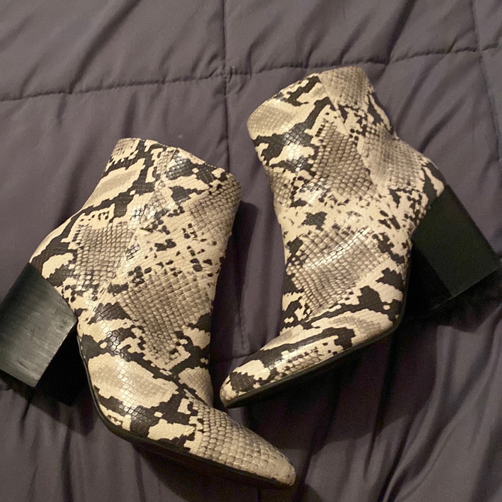 Snake Skin Steve Madden Booties